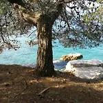 App Roko